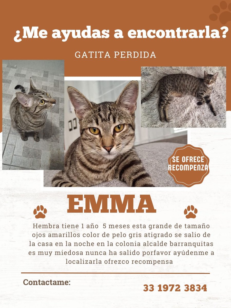 Lord Gatus tweet media