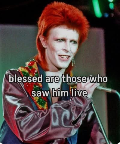 Kiwiwayne3 ex kiwiwayne1/2 tweet media