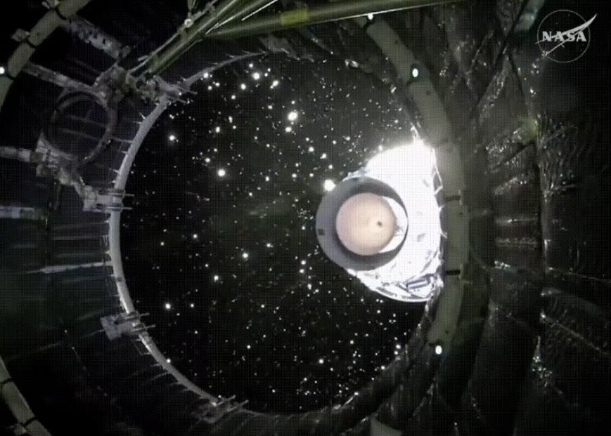 BSF 🇬🇧🐀 tweet media