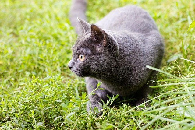 Sarah Burroughs tweet media