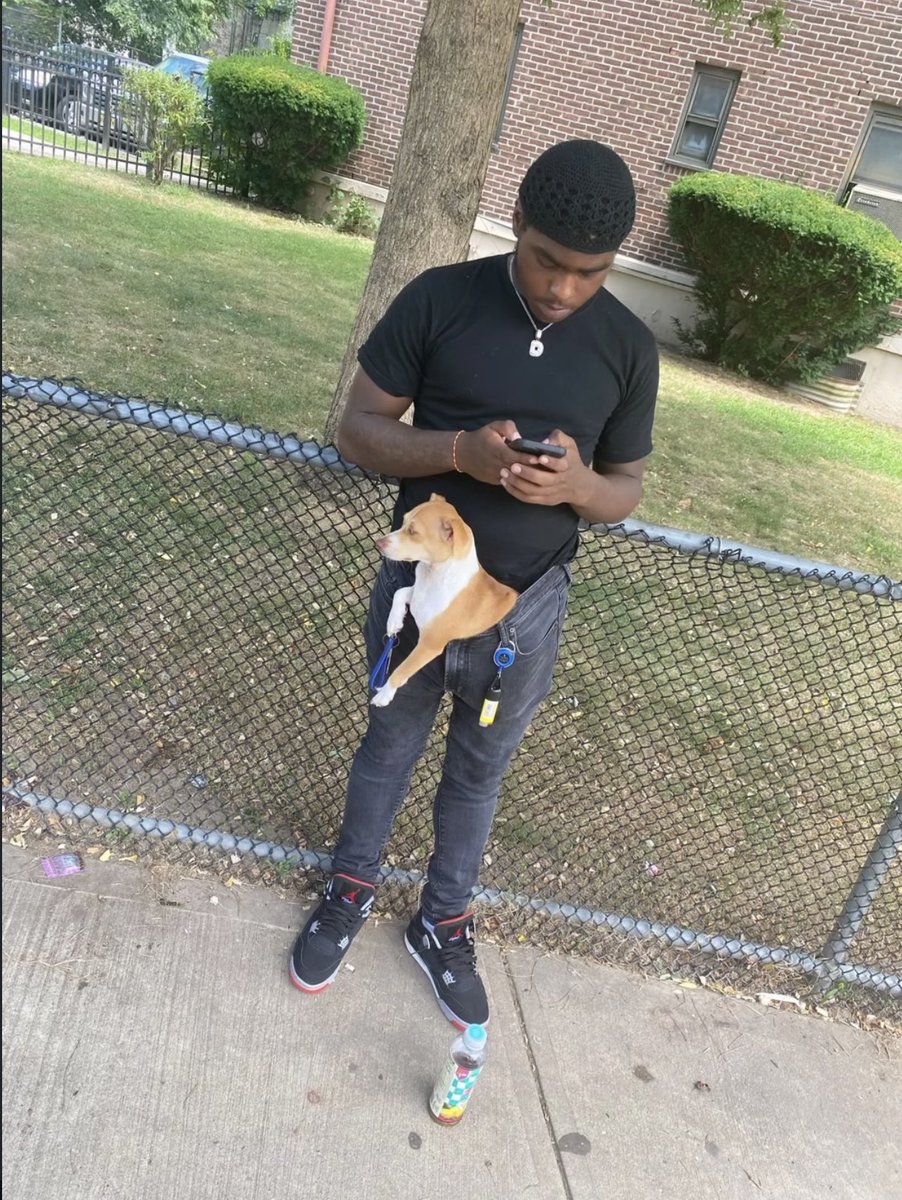 shane’s silly rabbit tweet media