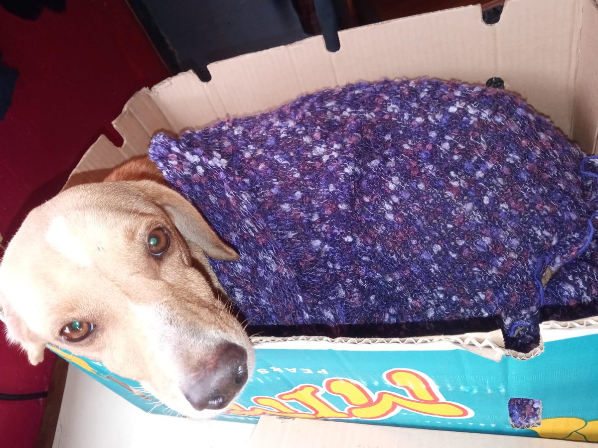 misuperamigofiel 🇦🇷 tweet media