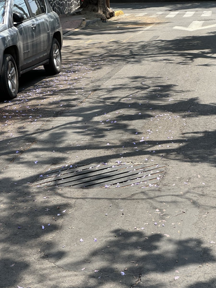 Demian187's tweet photo. Una vez más con el mismo tema, el q programen una cuadrilla de limpia no soluciona el problema, la persona de limpia no cumple con su trabajo, a donde me puedo dirigir para q esto cambie. https://t.co/dthJ0Pmmzb