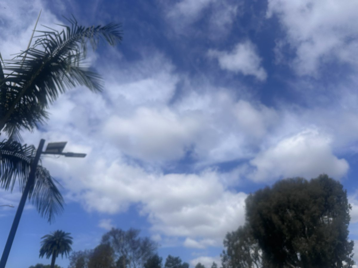 NKaravedas's tweet image. From #ThePatio to my #HappyPlace 😎🌴💙🌊

Blessings from HB friends