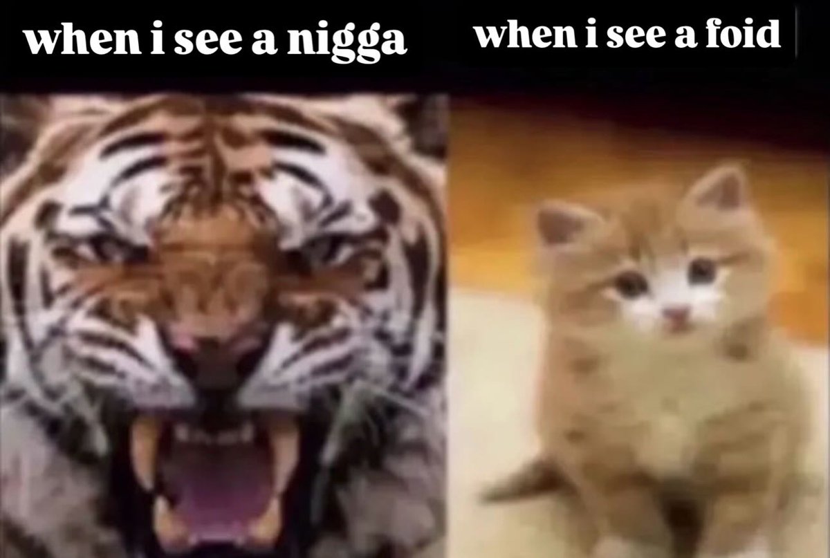 brainrot dimension tweet media