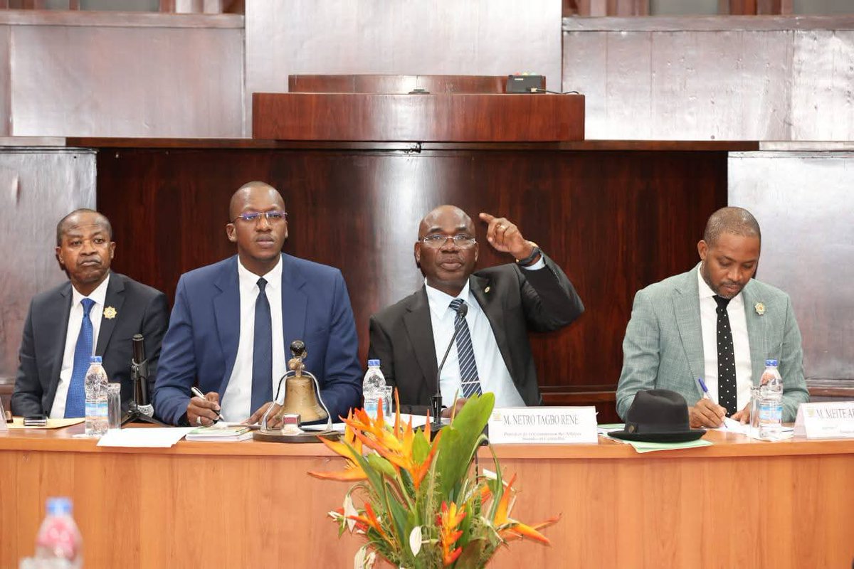 dmBelmonde's tweet image. Ce jour, je me suis présentée devant la Commission des Affaires Sociales et Culturelles de l'Assemblée Nationale pour défendre le projet de loi relatif à l'Économie Sociale et Solidaire #ESS. Je suis heureuse de vous annoncer que le projet de loi a été adopté.