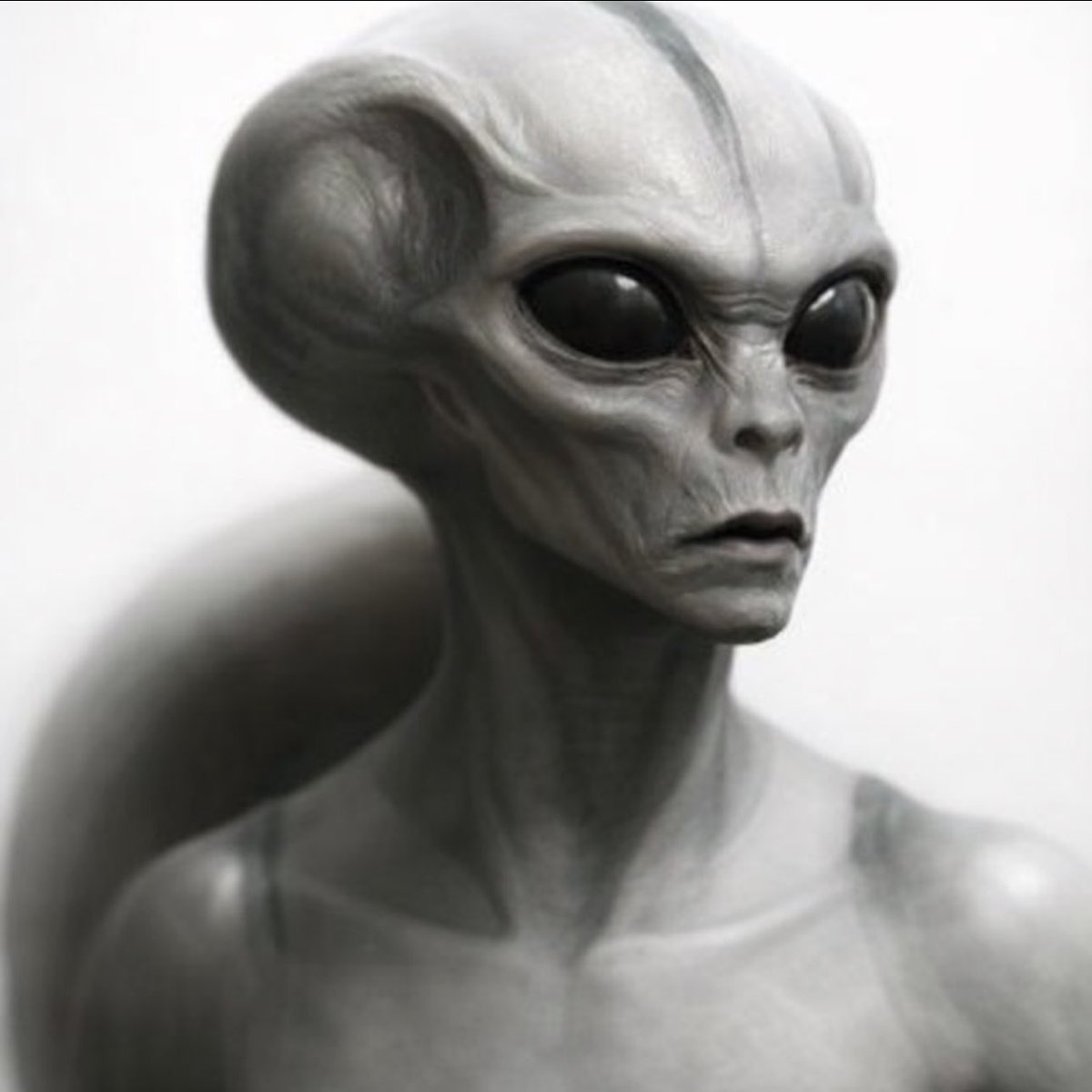 AliensAreReal tweet media
