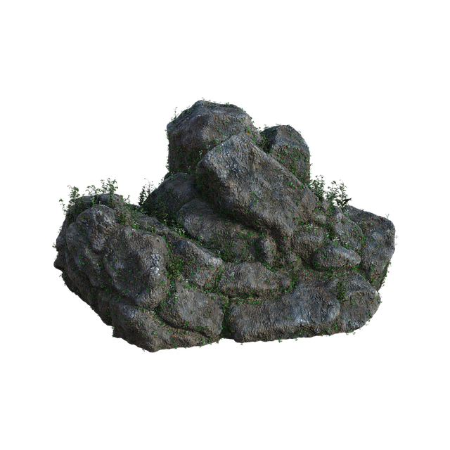 Rodney Sealy tweet media