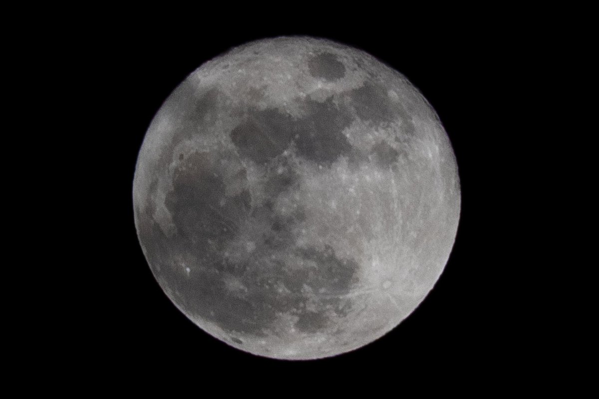 Hakan Semiz 🇦🇱🇹🇷 tweet media