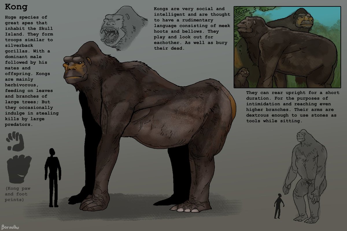 Bornulhu tweet media