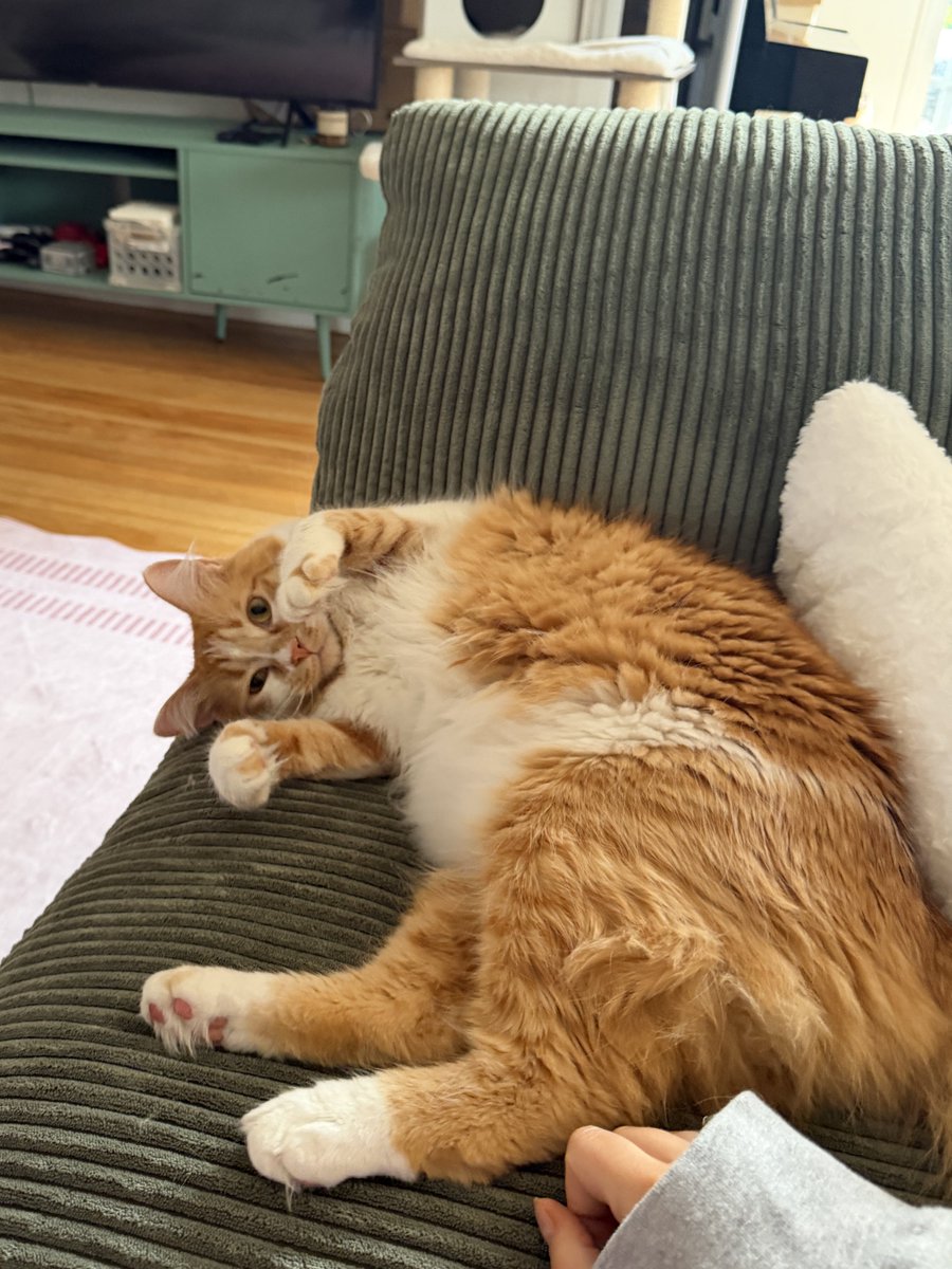 erin ♡ tweet media