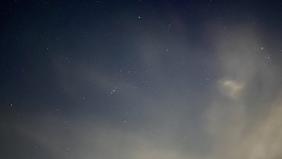 TâLâ 🔻 #gazagenocide 🇵🇸 #Gaza_for_its_people tweet media