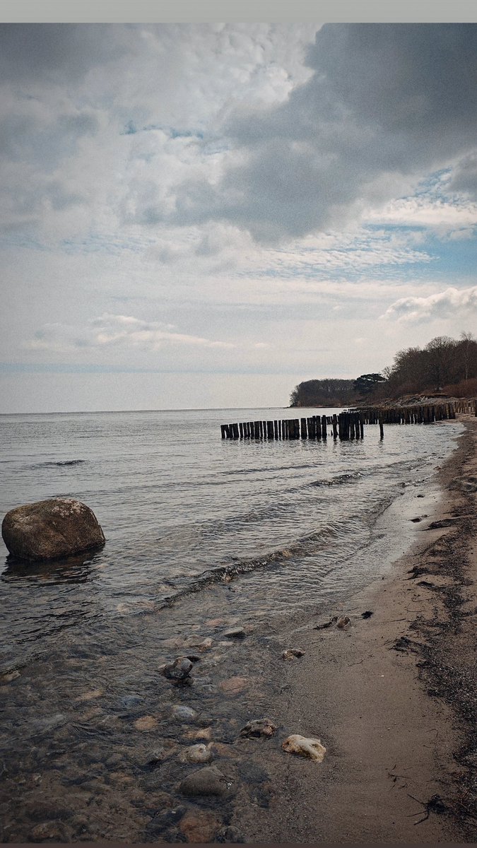 aslijo's tweet photo. Didn't check the markets today.. set the pause button and walked in Magleby Skov listening to my music, doing breathwork #zen #danmark #sjælland 
#påskeferie https://t.co/h1FexRfzdw