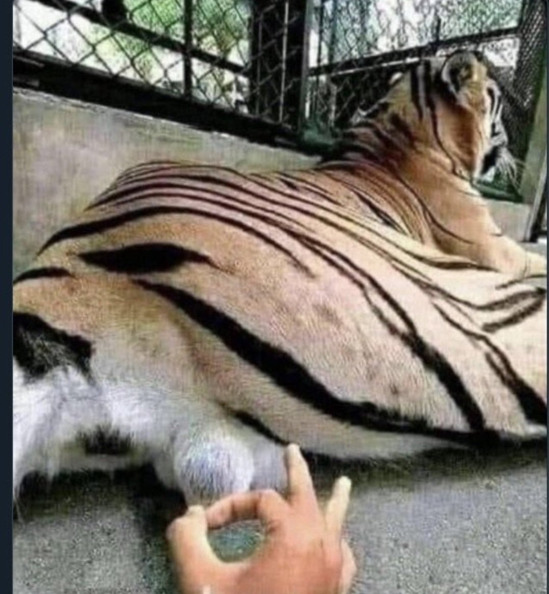 Pierre Jacobs tweet media