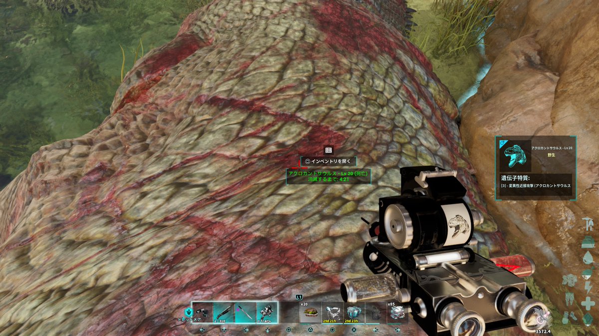 オルカ@ARK tweet media