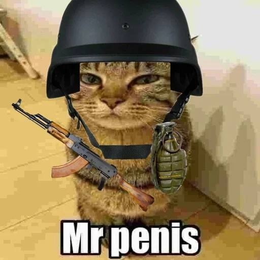 voidpaps's tweet photo. mr penis https://t.co/affuSgw1VR