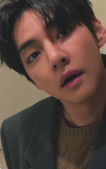 🐾💌🎀🪭 tweet media