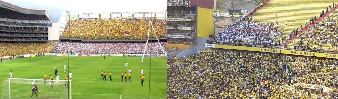 BarceWolf tweet media