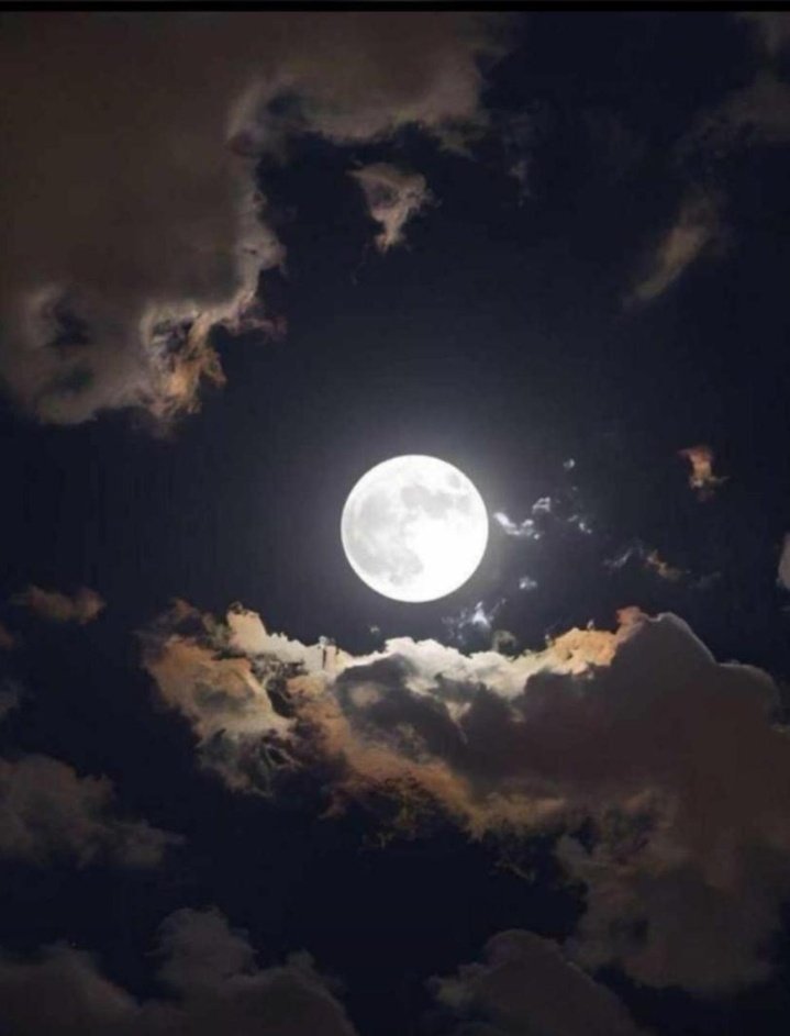 Black Child 🖤🖤🖤 tweet media