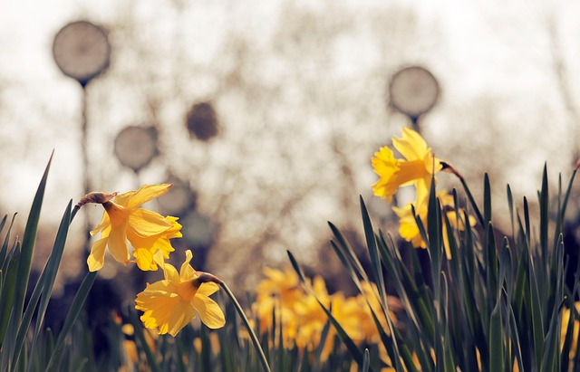 Kevin Lewis tweet media