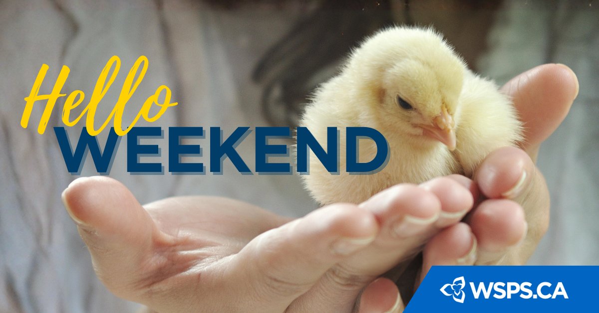 Workplace Safety & Prevention Services tweet media