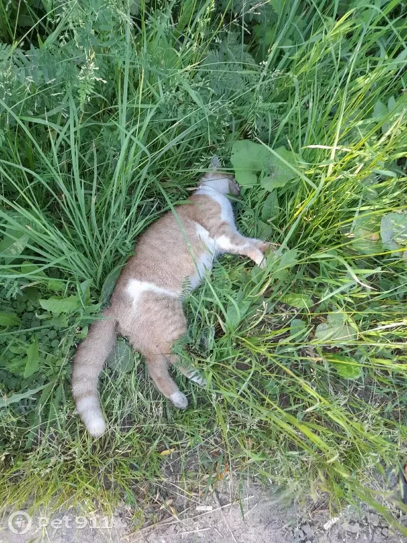 GISARO🇨🇩❤️ tweet media