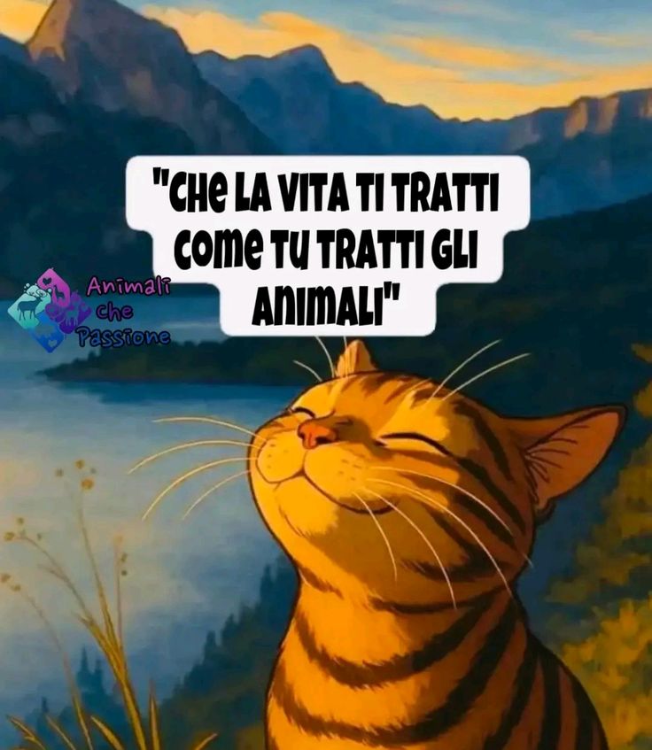 𝓢𝓸𝓰𝓷𝓸 tweet media