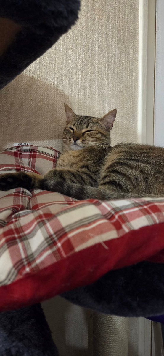 Cass ♡ tweet media