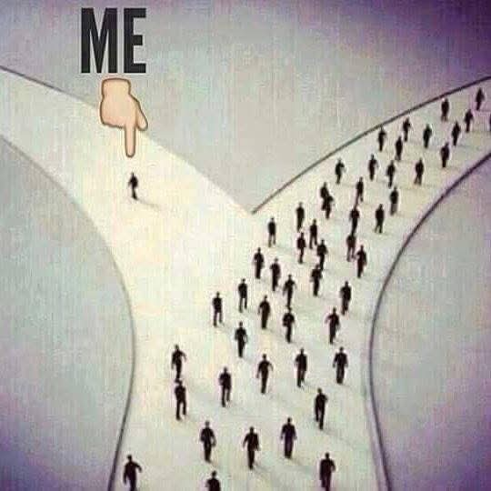 Chuck Cole tweet media