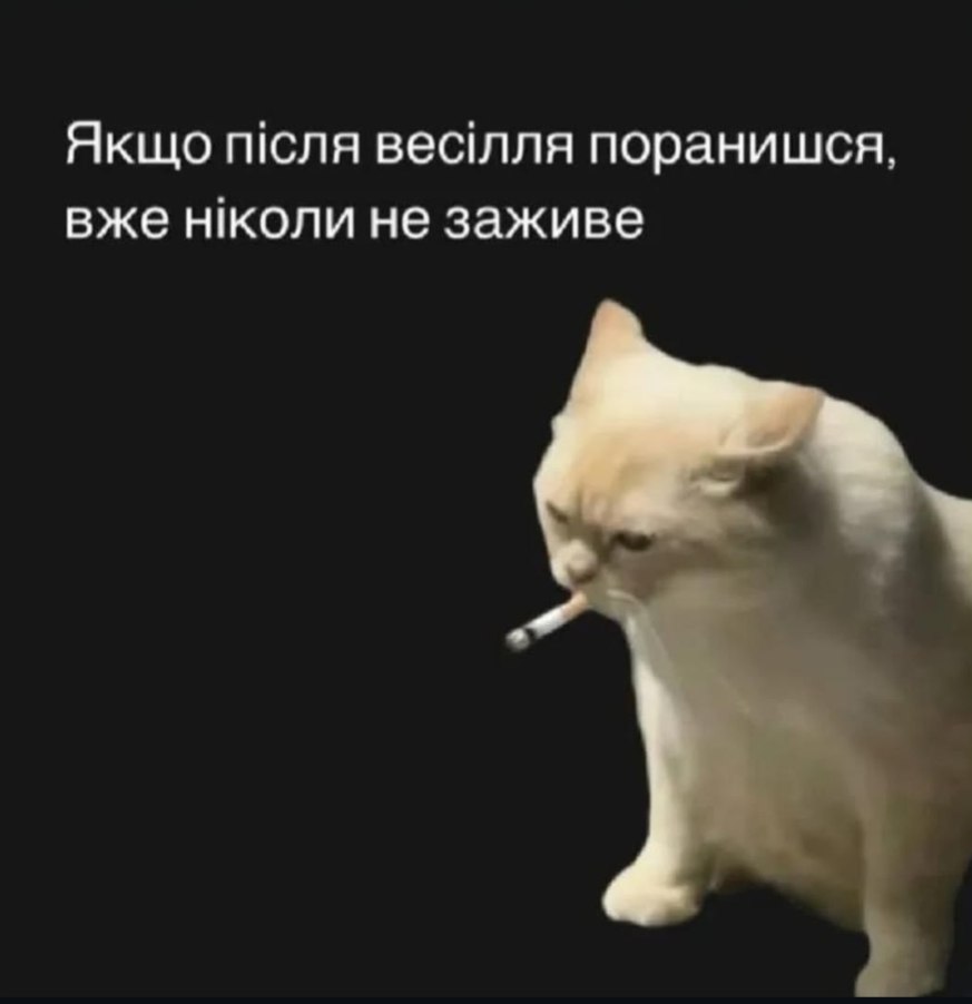 Пан Барон tweet media