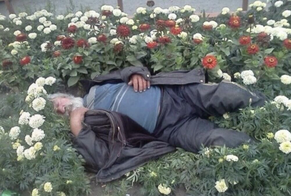 Shoko ⸸ Jack Daniel's Version tweet media