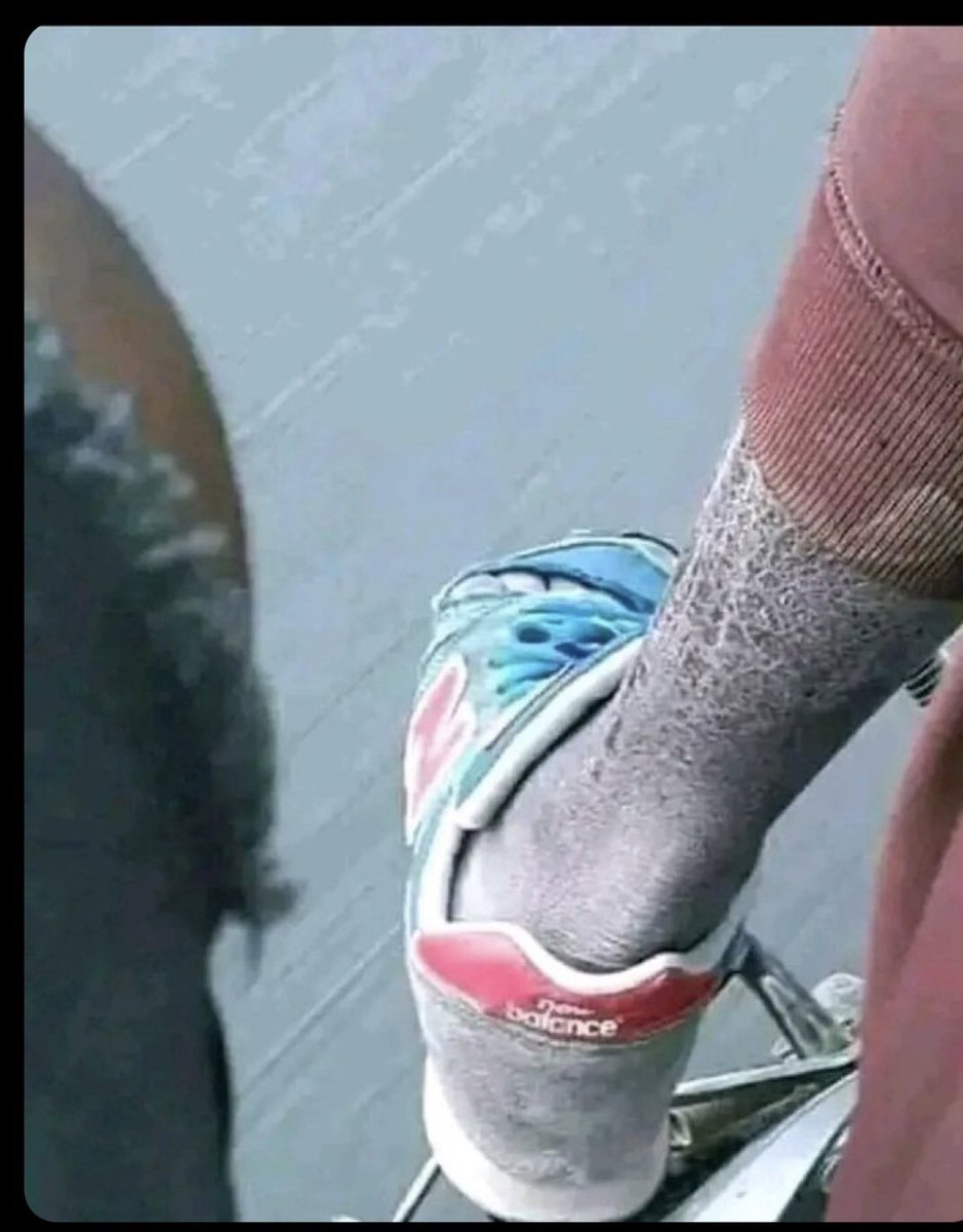 SHIGGA_. tweet media