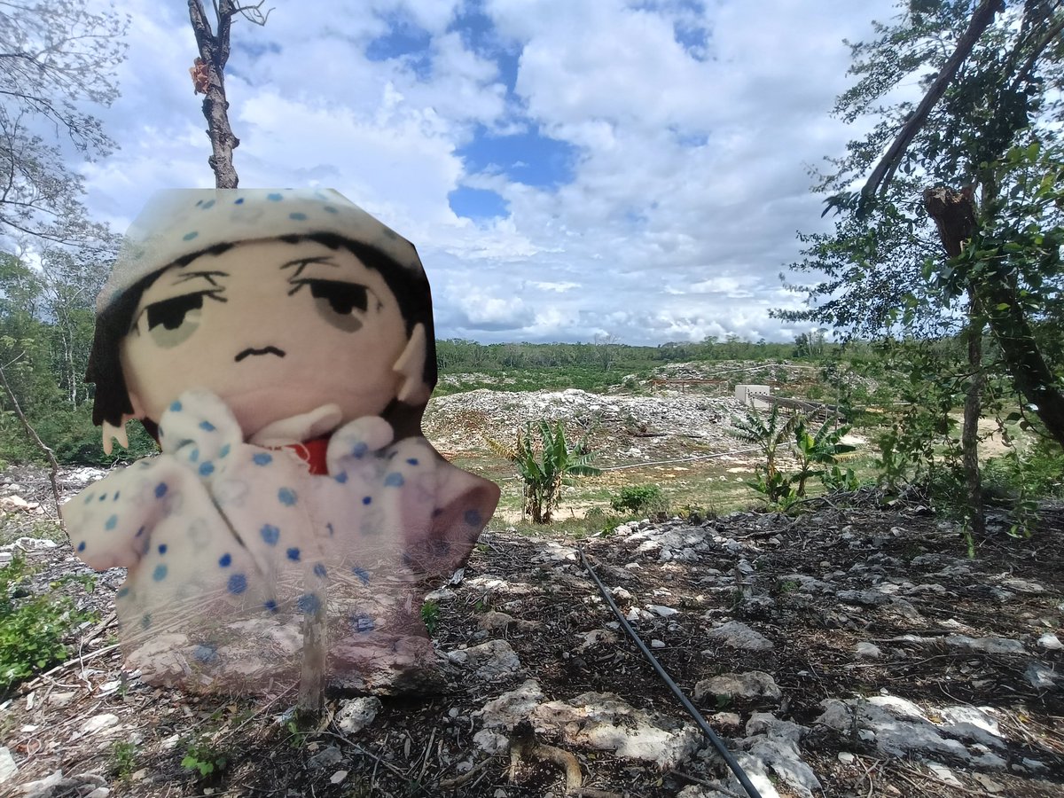 Fennell !! tweet media