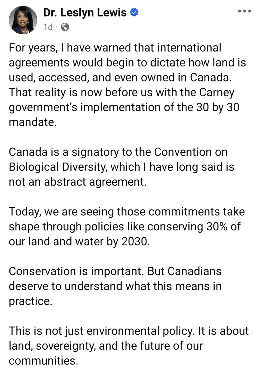 That Rude Cat. tweet media