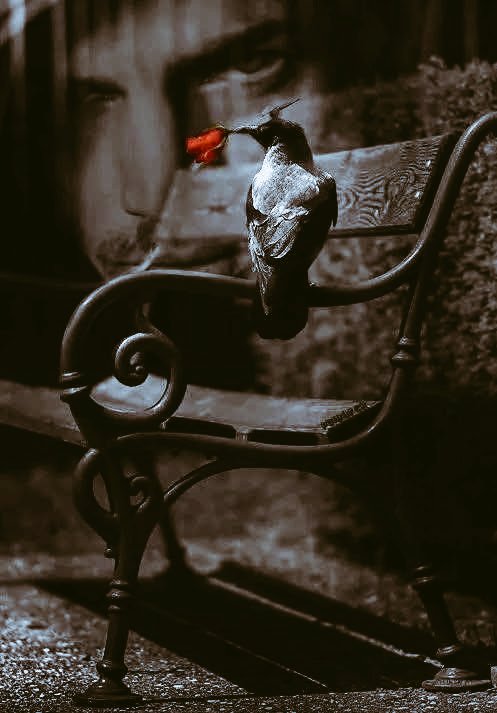 artf407's tweet photo. "بعضهم يغيب بلا غياب بينما البعض الآخر موجود بلا وجود•• https://t.co/aGcRP33QEZ