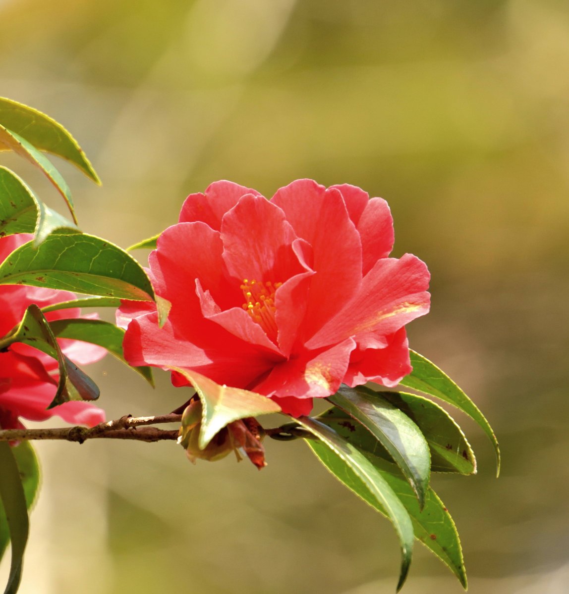 水島脩行 tweet media