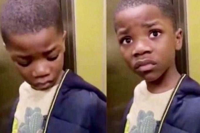 ₳boki CNFTs 📊 tweet media