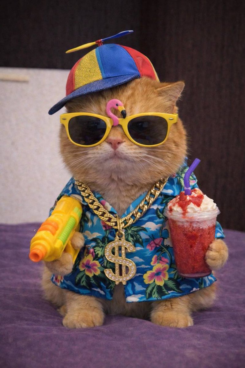 John Wick tweet media