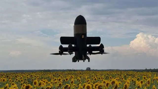 Дава Коэн tweet media