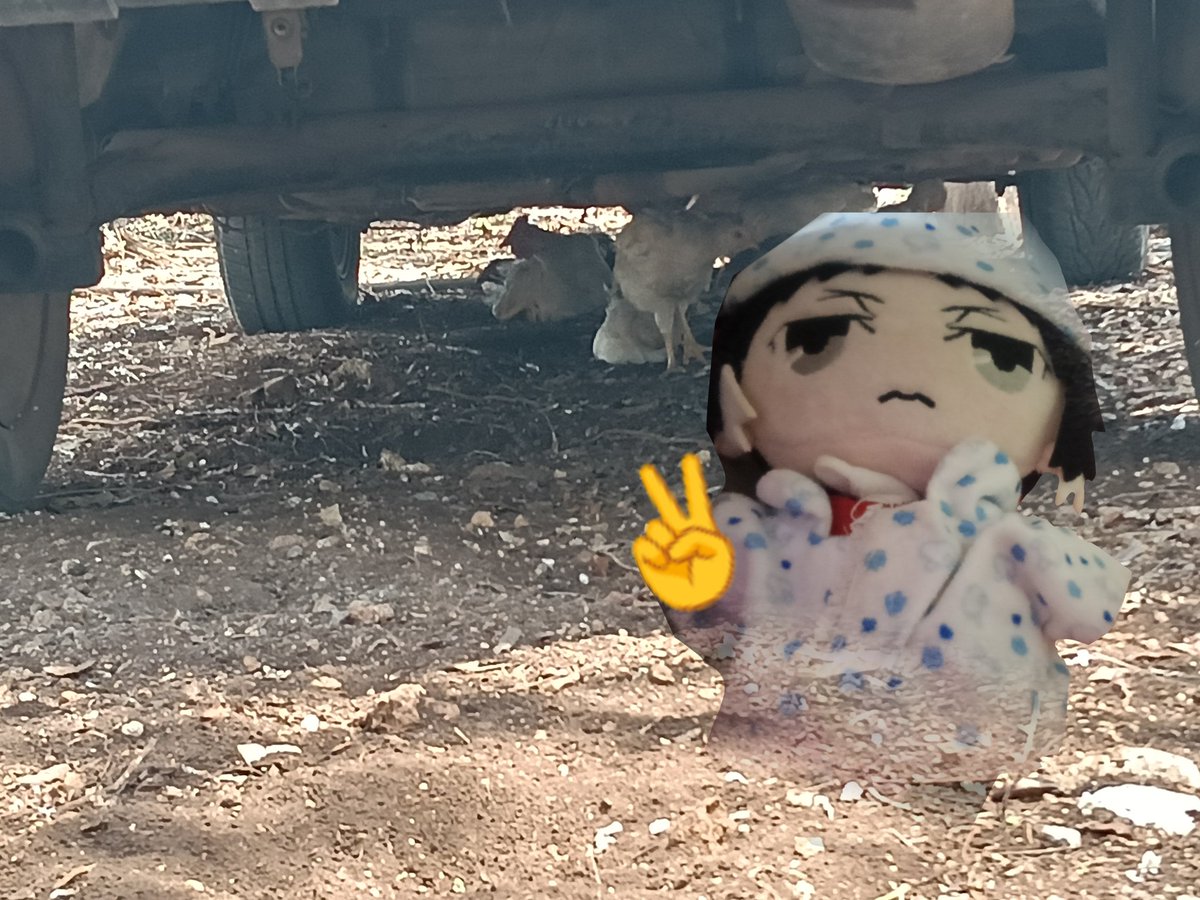 Fennell !! tweet media