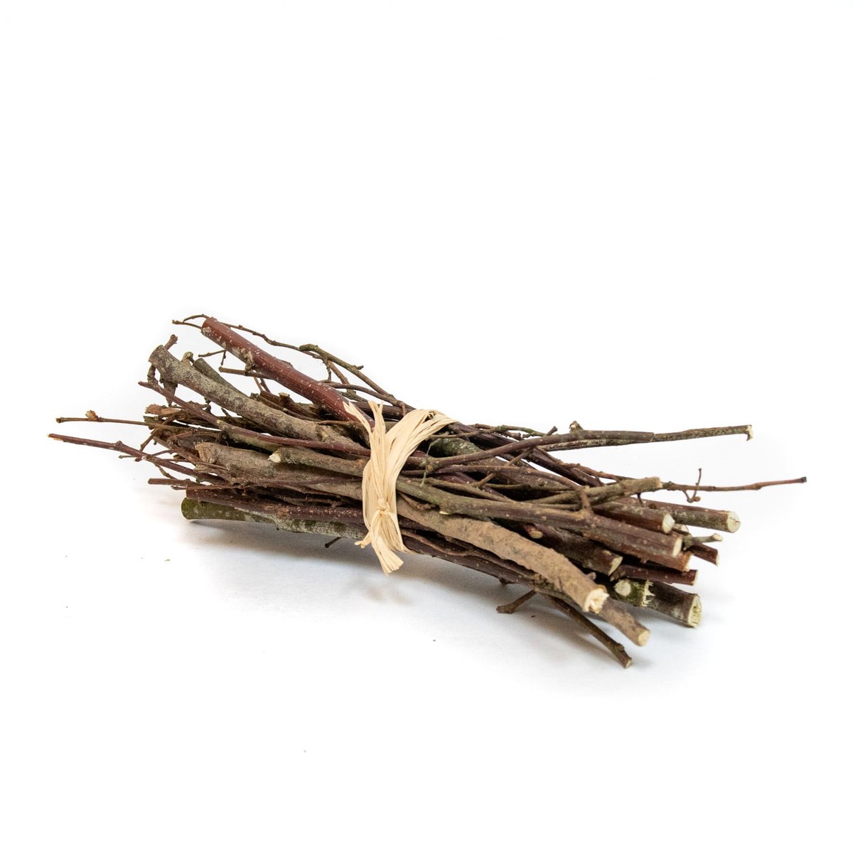 Funkyann42 tweet media