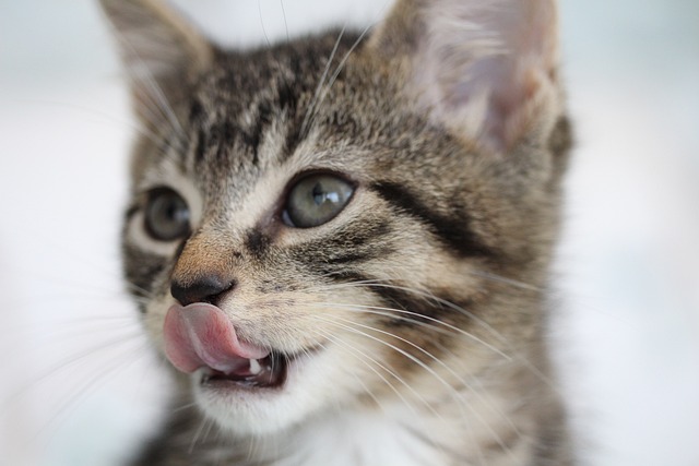 Sarah Crawford tweet media