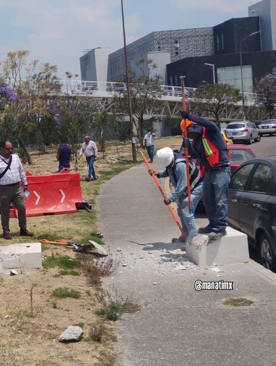 Manatí - Noticias desde Puebla tweet media