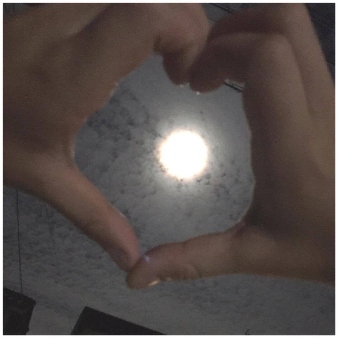 Winged Hurricane tweet media