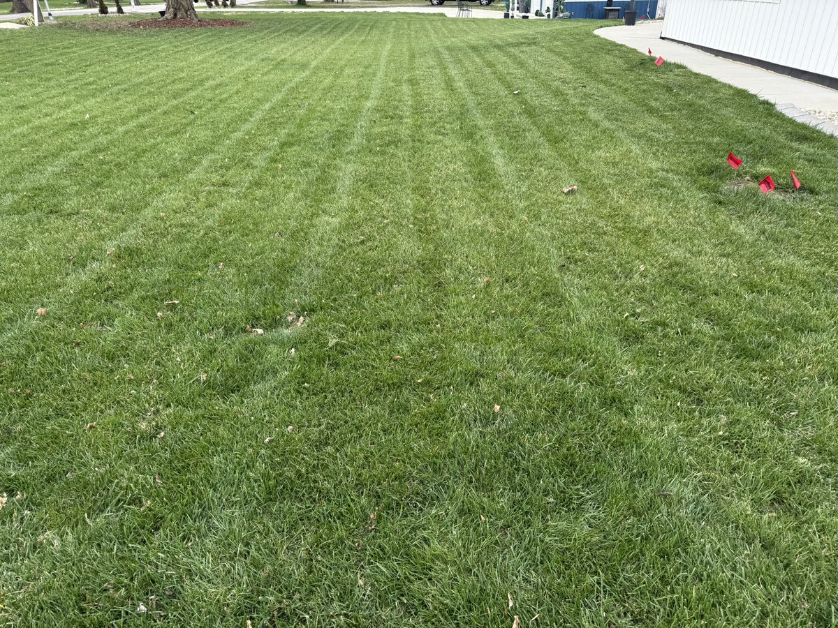 Eccleshire tweet media