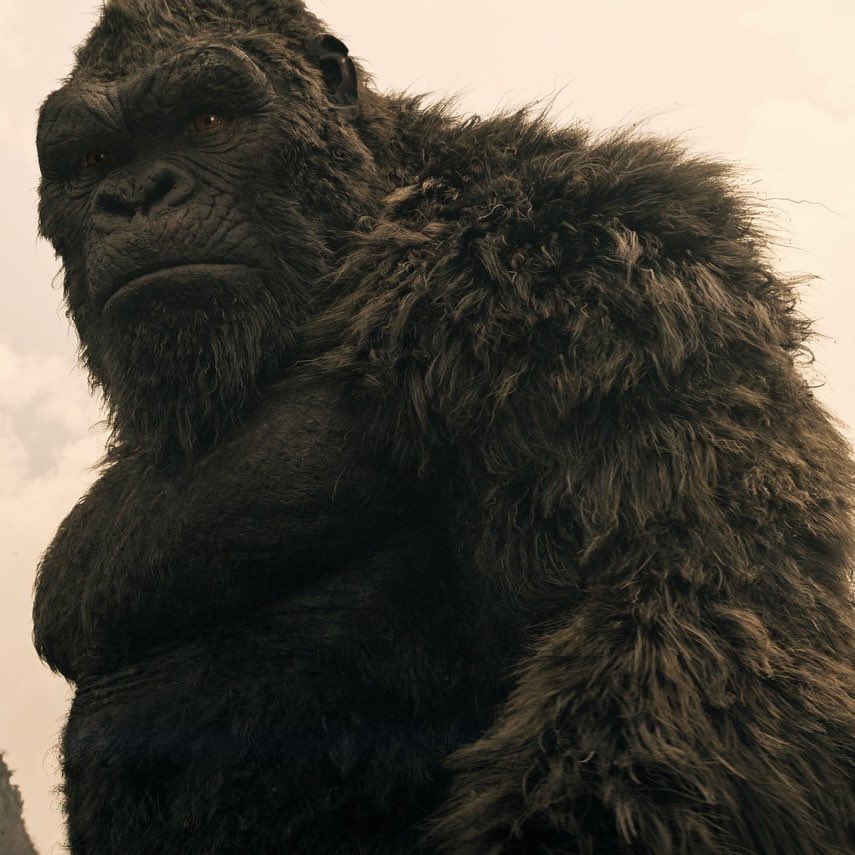 Mr_goji54's tweet image. Kong, Godzilla, and Cocai. #Monarch: Legacy of Monsters S2.