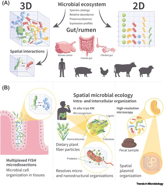 Trends in Microbiology tweet media