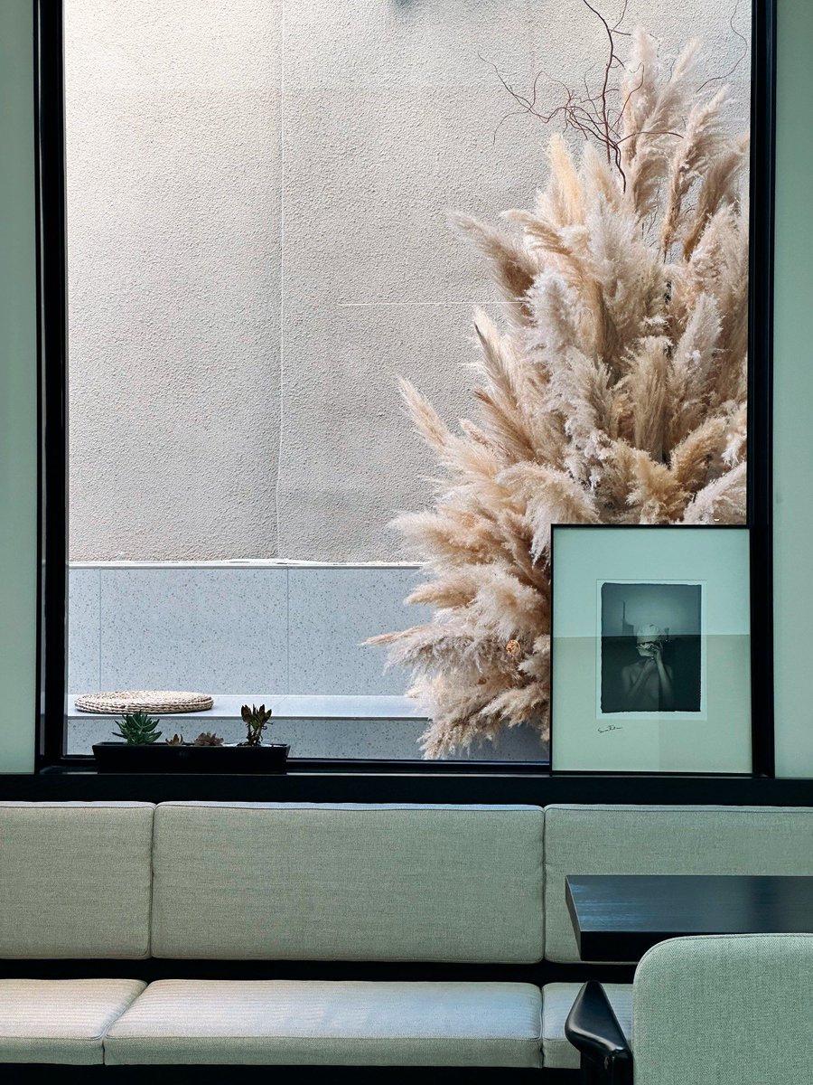 ashutoshtr56541's tweet image. Cozy Sunday morning routine: fresh coffee, open window breeze, and a good book on the couch. Pure home bliss  #HomeVibes #WeekendRoutine