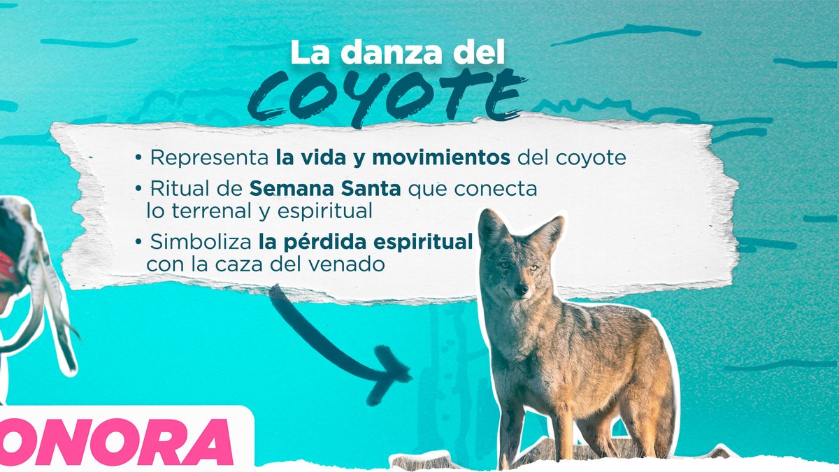 Nueva Alianza Sonora Mx. tweet media