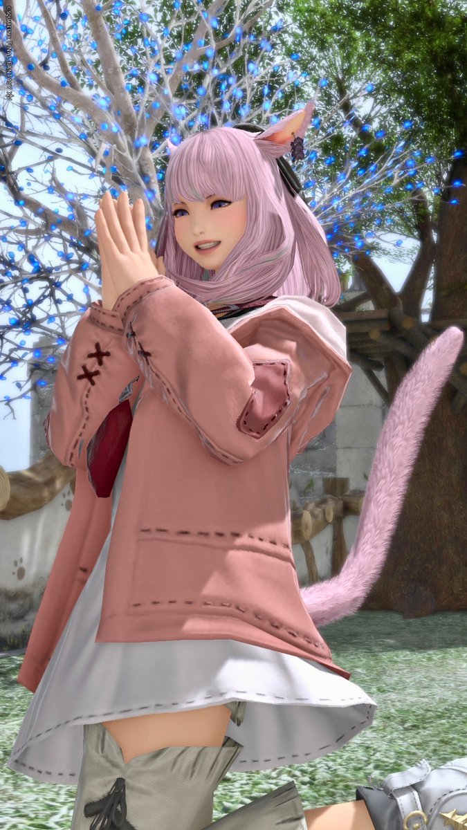 momo🐰 tweet media